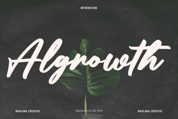 Algrowth: A Bold Script Typeface for Modern Web Design