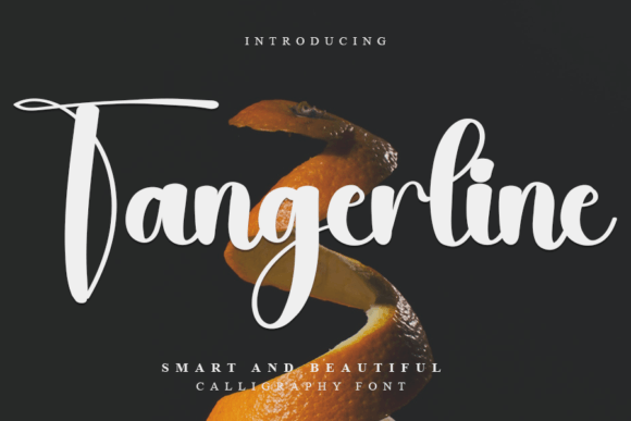 Tangerline: The Handwritten Font for Modern Crafters