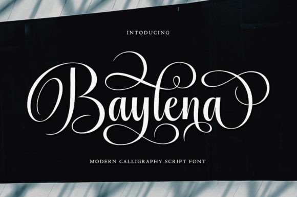 Why Baylena Is the Perfect Script Font for Modern Web Design